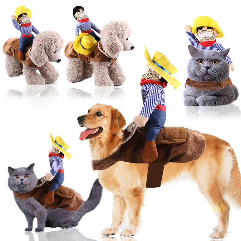 frenchie dog costumes