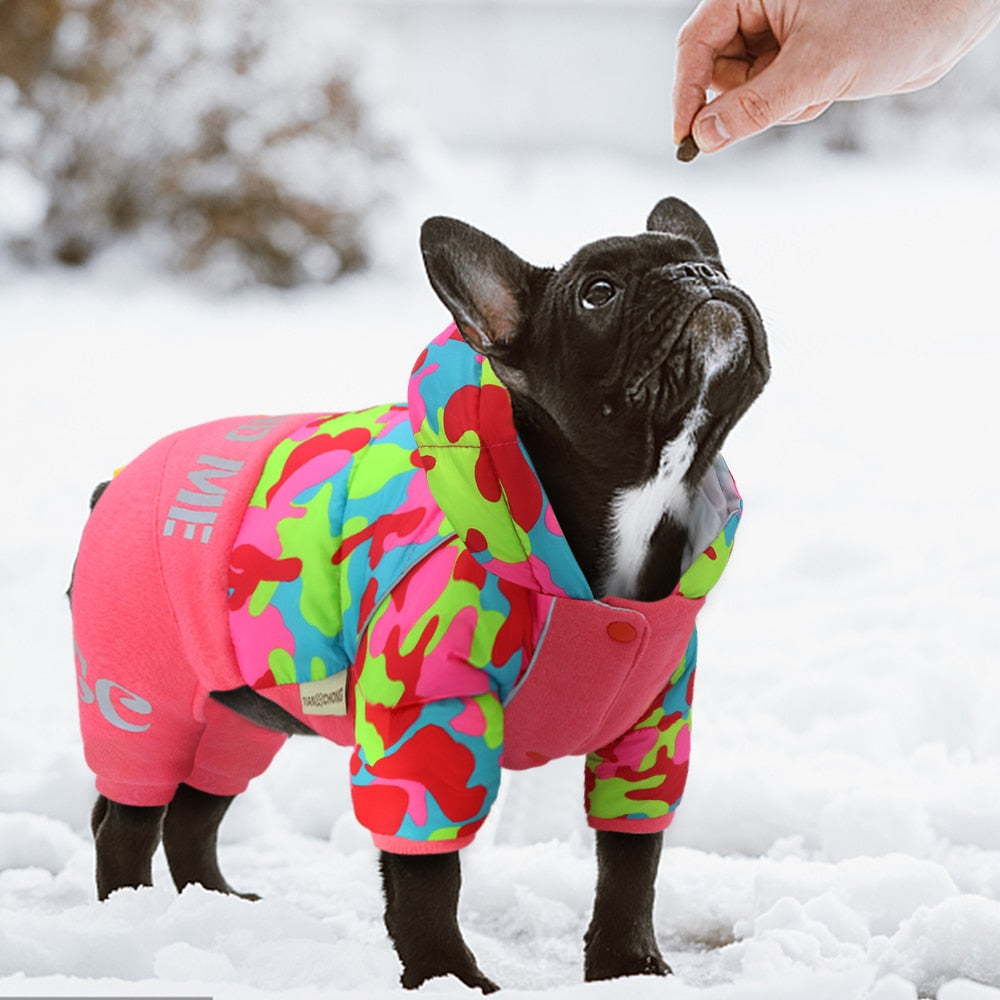 Survêtement Homme Nylon Coupe-Vent Isolé - Combinaison Neige Chaud Hiver Bouledogue Français