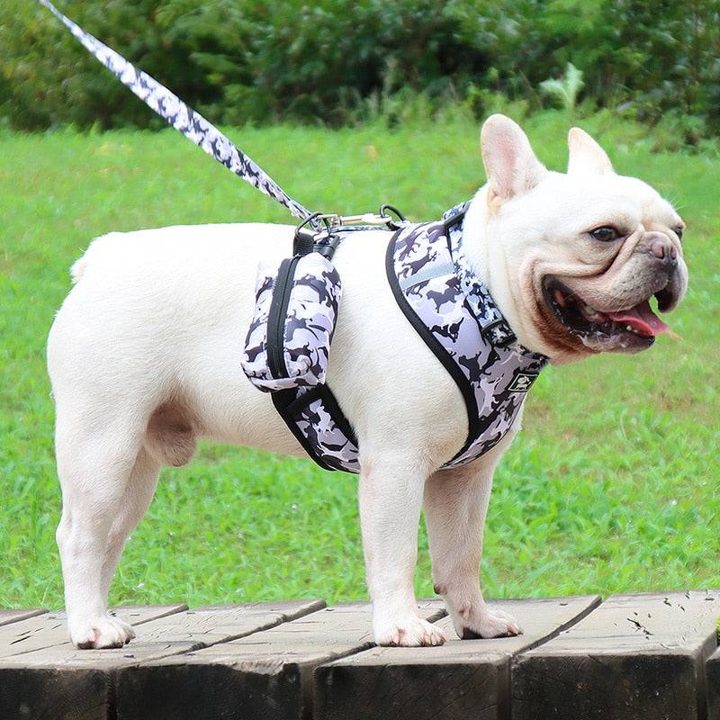 Fily Petz™ - Adjustable French Bulldog Harness Set (WS991)
