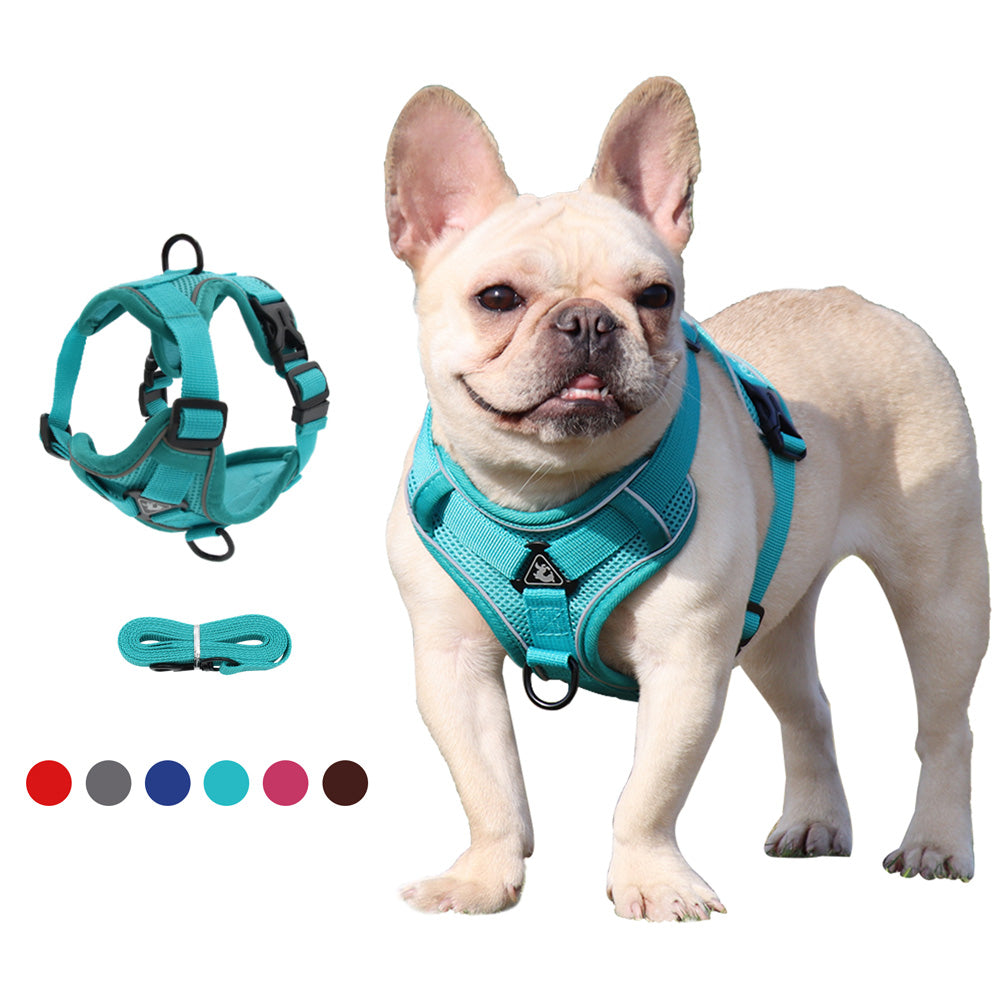 Frenchie Shop : French Bulldog Harnesses, Clothes, Apparel & more