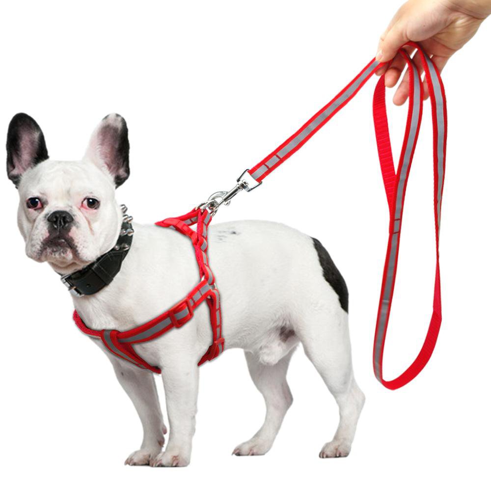 LV harness & leash set – The Frenchie Shop