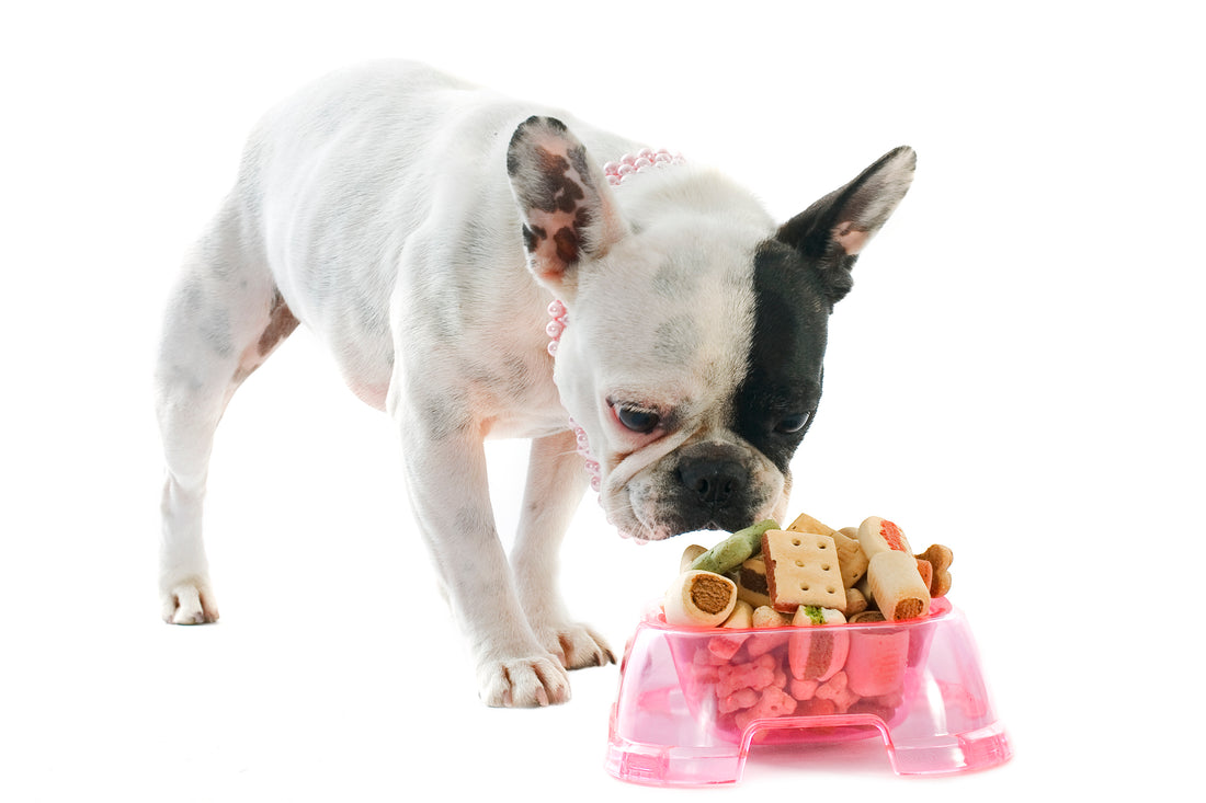 What Fruits and Vegetables Can I Feed My French Bulldog?