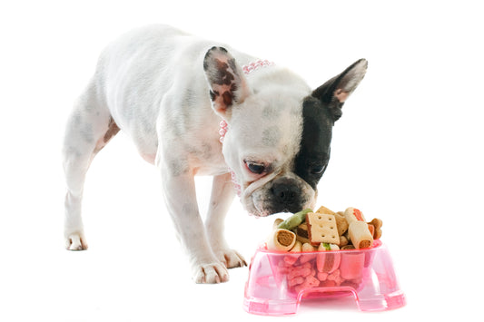 What Fruits and Vegetables Can I Feed My French Bulldog?