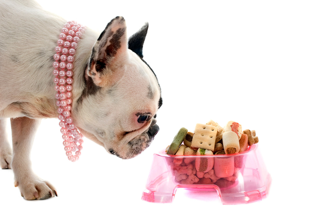 How to Feed a French Bulldog