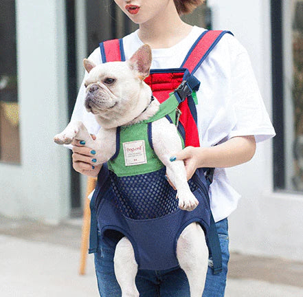 4 Best Backpack For French Bulldogs In 2023