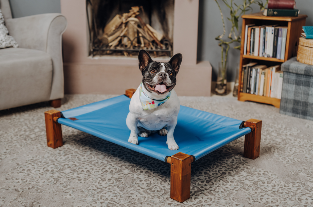 6 Strategies to Keep Your Frenchie Out of Your Room