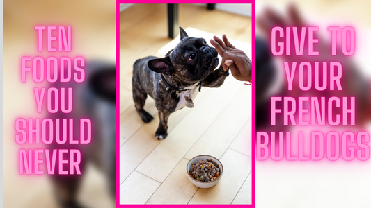Ten Foods You Should Never Give to Your French Bulldogs