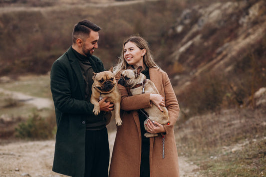 What are the Habits of a Great French Bulldog Mom or Dad?