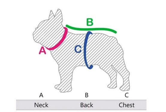 How to Select and Buy the Right Clothes for My French Bulldog