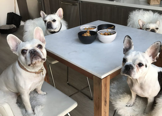 10 Dog Food Recipes Frenchie Owners Should Learn About