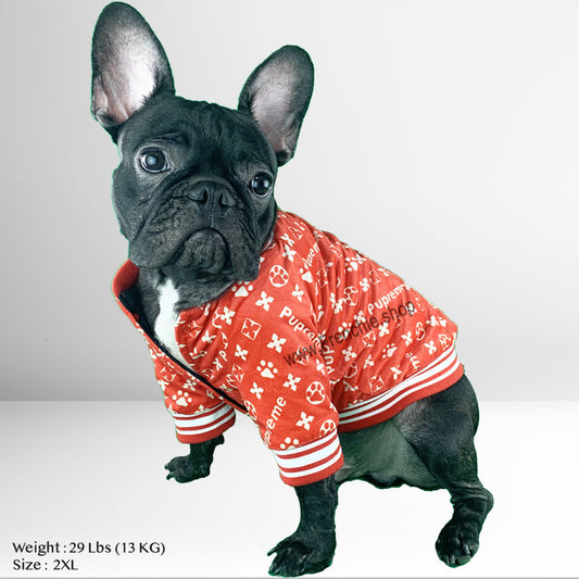 Why you should get the best clothes for your french bulldog ?