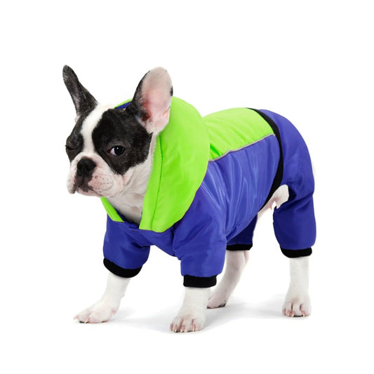 Top 10 French Bulldog Clothes of 2022