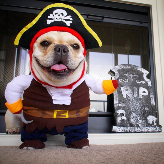 CRAZY HALLOWEEN COSTUME IDEAS FOR FRENCHIE LOVERS