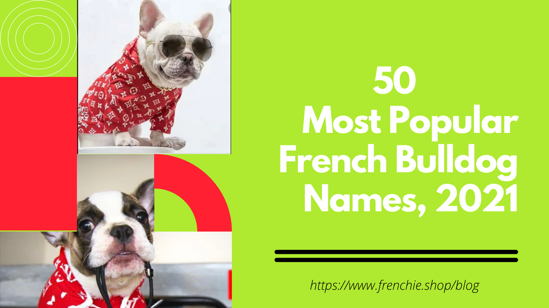 50 Most Popular French Bulldog Names