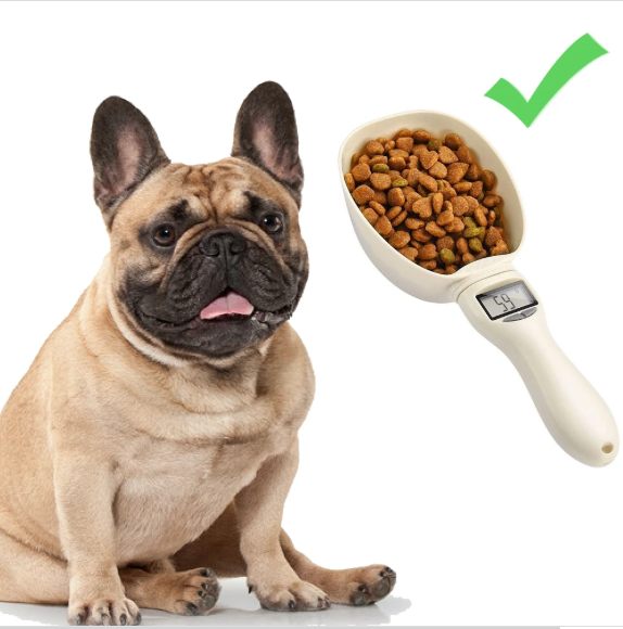 SCOOPIFY: The Benefits of Measuring Your French Bulldog’s Food