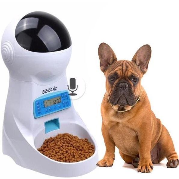 What to Do if Your French Bulldog is not Eating Well