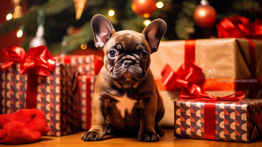 Special Christmas presents for French bulldogs