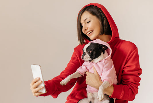 Top 8 Hoodies For French bulldog Owners