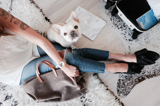 Top 8 French Bulldog Watches That Every Frenchie Lover Should Buy