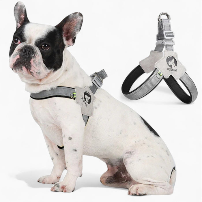 Harnesses