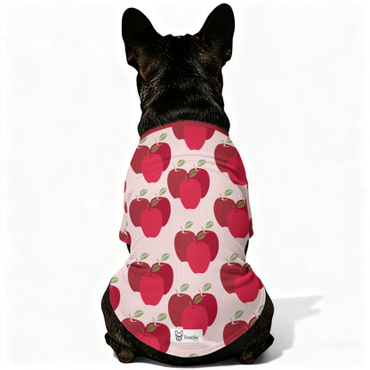 Dude - Wool Sweater for Frenchies