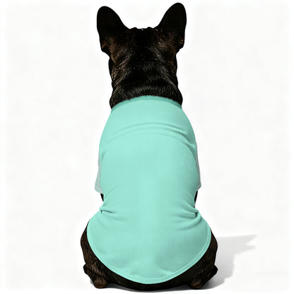 Asher - Wool Sweater for Frenchies