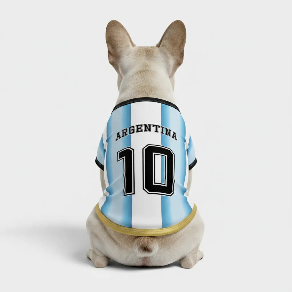 Personalized argentina home - jerseys for Frenchies