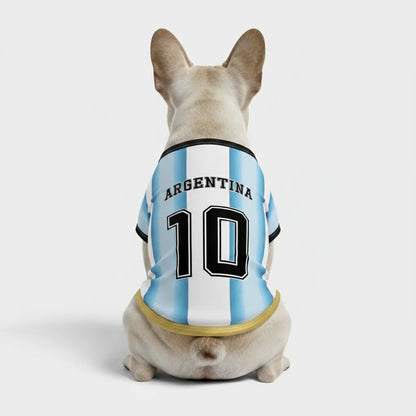 Personalized argentina home - jerseys for Frenchies