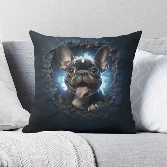 Paco - Pillow Cover