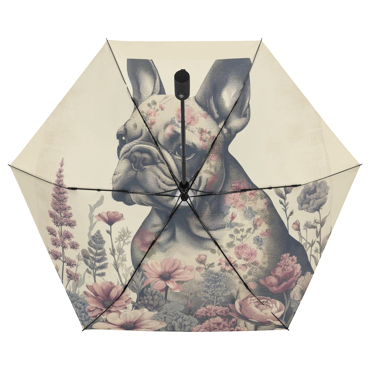 Lexi - Umbrella