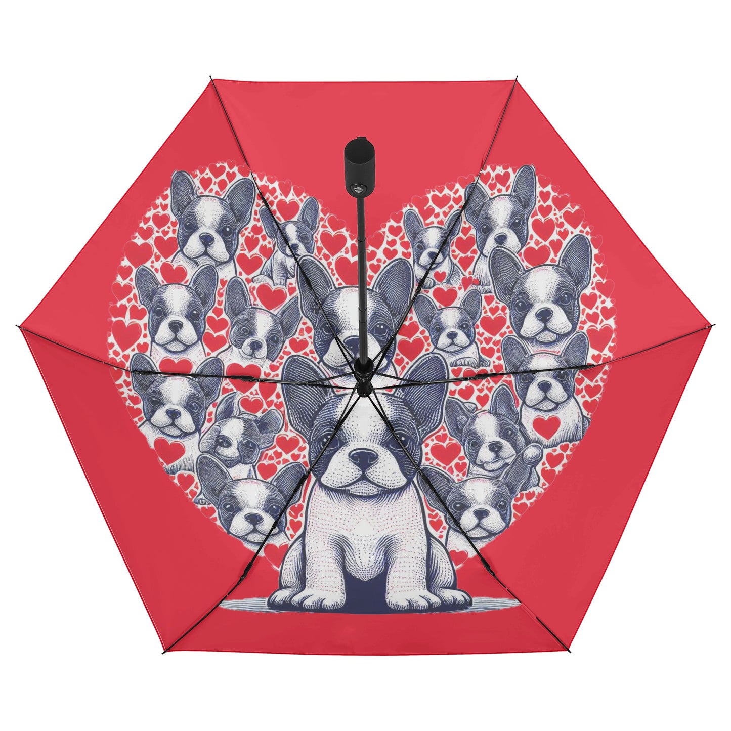 Ginger - Umbrella