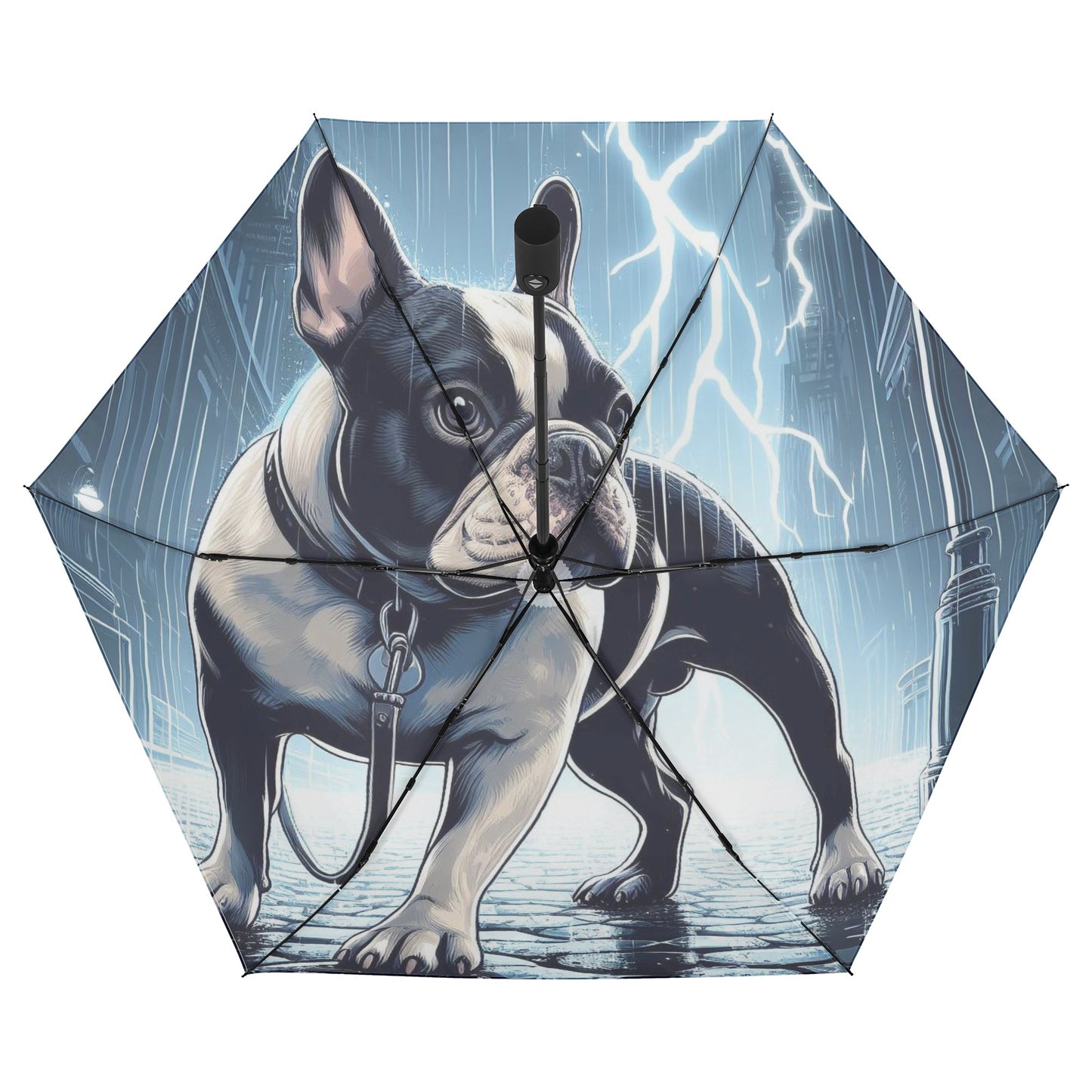Kona - Umbrella