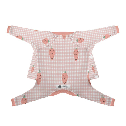 filename-1763563506-5-RGmpgjt5IB