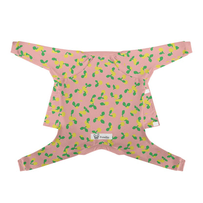 filename-1764061072-5-ZwXrL6xaQ4