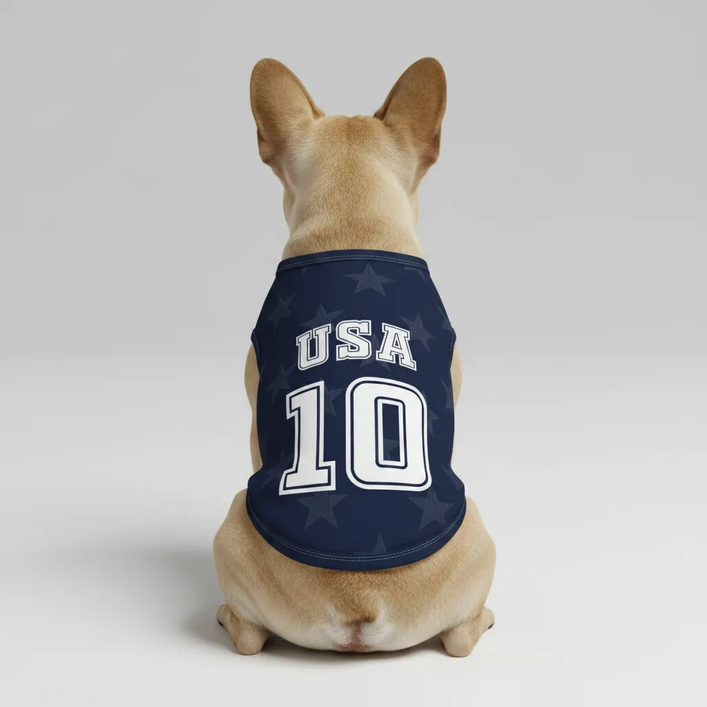 Personalized usa away - jerseys for Frenchies