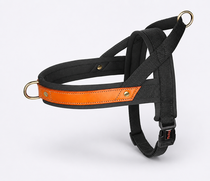French Bulldog No Pull Collar Harness Leash Set (WS0223)