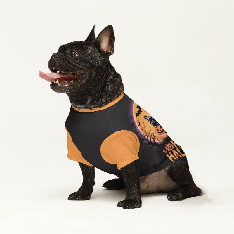 Sheila - Wool Sweater for Frenchies