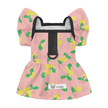 Kaia - French Bulldog Dresses for Females