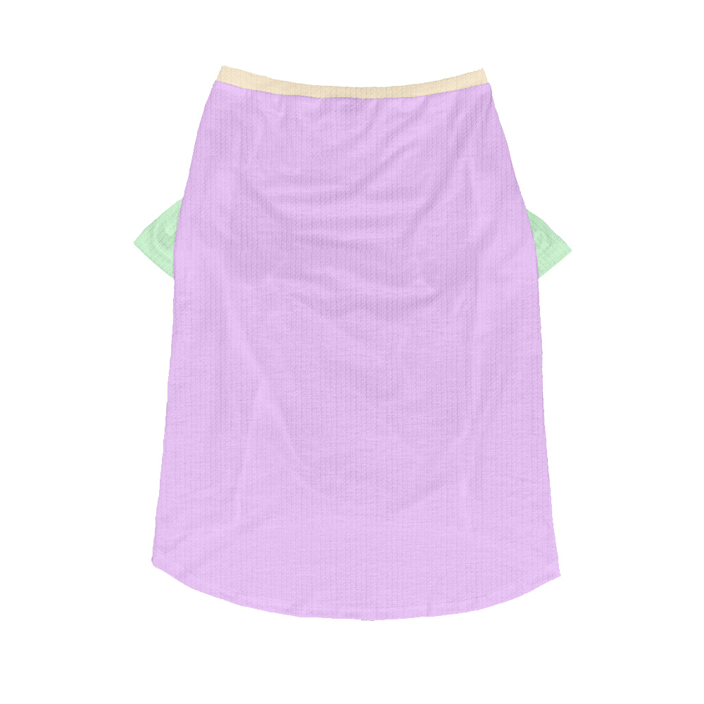 Lolli - Wool Sweater for Frenchies