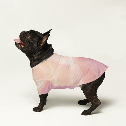 Kai - Wool Sweater for Frenchies