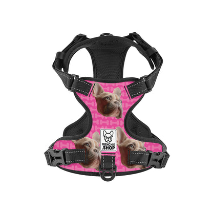 Quincy - Personalized No-Pull French Bulldog Dog Harness