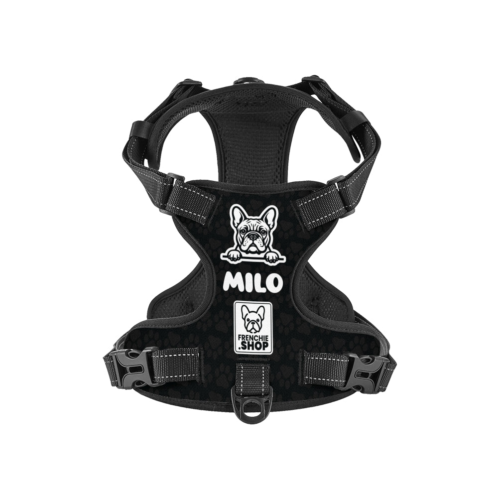 Winston - Personalized No-Pull French Bulldog Dog Harness