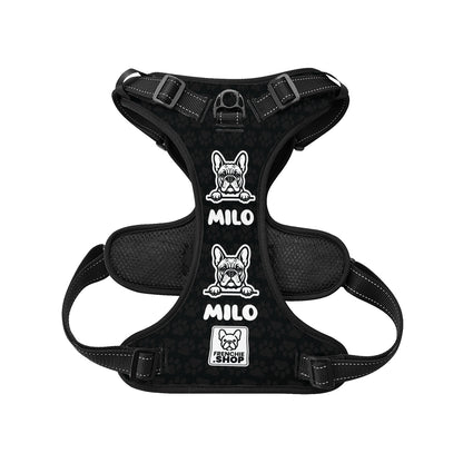 Winston - Personalized No-Pull French Bulldog Dog Harness