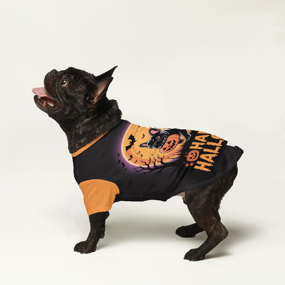 Sheila - Wool Sweater for Frenchies