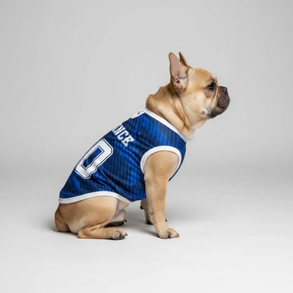 Personalized france home - jerseys for Frenchies