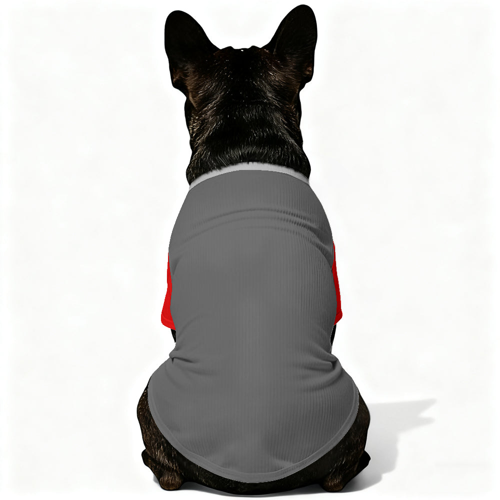 Louie - Wool Sweater for Frenchies