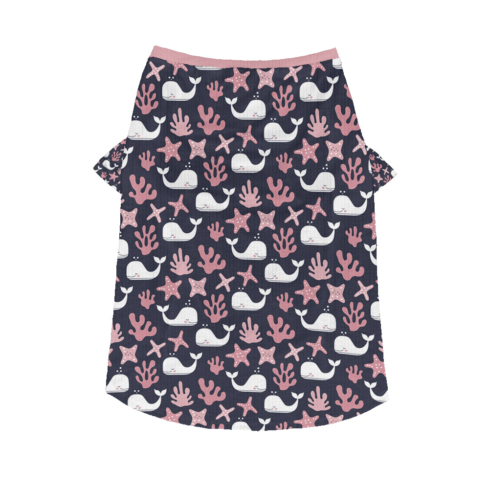 Covi - Wool Sweater for Frenchies