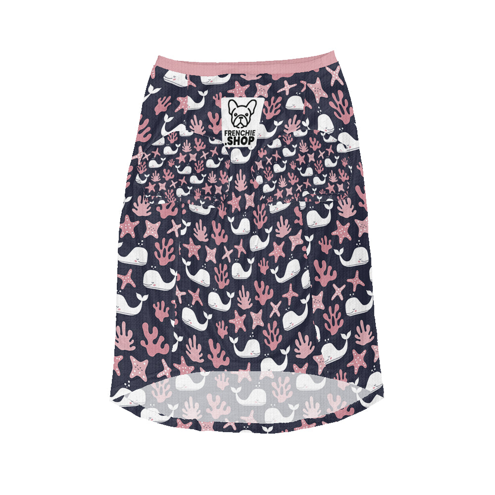 Covi - Wool Sweater for Frenchies