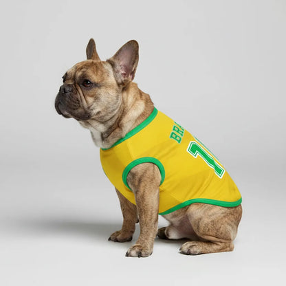 Personalized brazil home - jerseys for Frenchies
