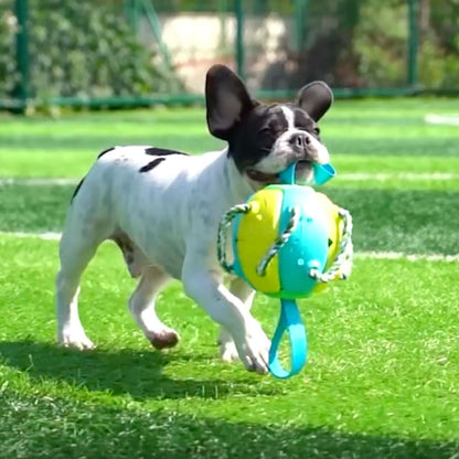 Interactive Frenchie Soccer Ball With Tabs Inflated Training Toy - French Bulldog Shop